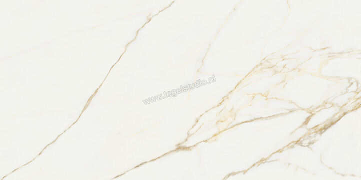  NovaBell Atelier Calacatta Gold 30x60 cm Vloertegel / Wandtegel Glanzend Gestructureerd Gepolijst ATL46LR | 455866