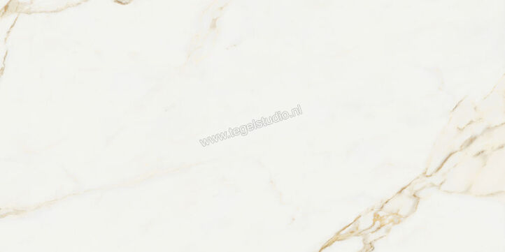  NovaBell Atelier Calacatta Gold 30x60 cm Vloertegel / Wandtegel Glanzend Gestructureerd Gepolijst ATL46LR | 455869
