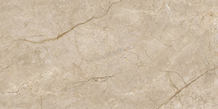  NovaBell Atelier Shade River 30x60 cm Vloertegel / Wandtegel Glanzend Gestructureerd Polished ATL66LR | 455986