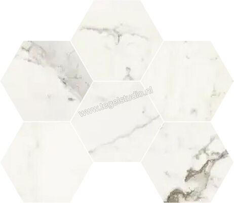  NovaBell Atelier Supreme Capraia 29.3x38 cm Vloertegel / Wandtegel Hexagon Glanzend Gestructureerd Gepolijst ATL118L | 456022