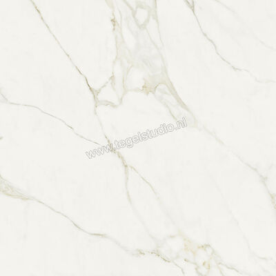  NovaBell Atelier Calacatta Grey 120x120 cm Vloertegel / Wandtegel Glanzend Gestructureerd Gepolijst ATL183LR | 456046