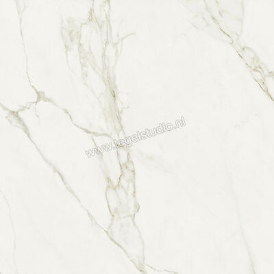  NovaBell Atelier Calacatta Grey 120x120 cm Vloertegel / Wandtegel Mat Gestructureerd Naturale ATL183RT | 456052