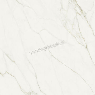  NovaBell Atelier Calacatta Grey 120x120 cm Vloertegel / Wandtegel Mat Gestructureerd Naturale ATL183RT | 456058