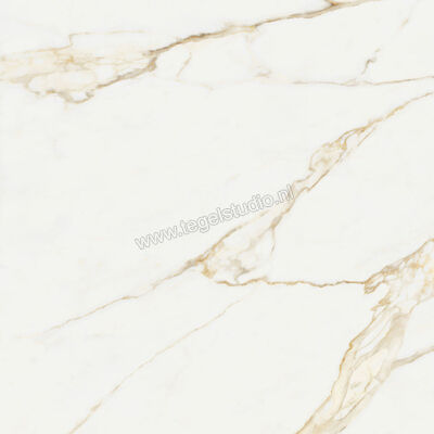  NovaBell Atelier Calacatta Gold 120x120 cm Vloertegel / Wandtegel Mat Gestructureerd Naturale ATL184RT | 456070