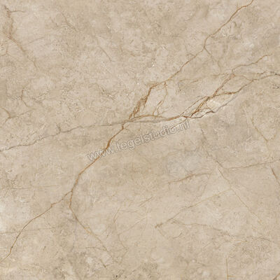  NovaBell Atelier Shade River 120x120 cm Vloertegel / Wandtegel Glanzend Gestructureerd Gepolijst ATL186LR | 456103