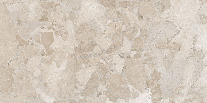  Ergon Ceramiche Matera Stone Greige 60x120 cm Vloertegel / Wandtegel Mat Gestructureerd Silktech EN4X | 457390