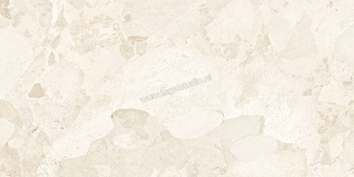 Ergon Ceramiche Matera Stone White 60x120 cm Vloertegel / Wandtegel Mat Gestructureerd Silktech EN4Y | 457405