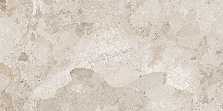  Ergon Ceramiche Matera Stone Greige 60x120 cm Vloertegel / Wandtegel Mat Gestructureerd Silktech plus EN5G | 457477