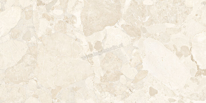  Ergon Ceramiche Matera Stone White 60x120 cm Vloertegel / Wandtegel Mat Gestructureerd Silktech plus EN5H | 457483
