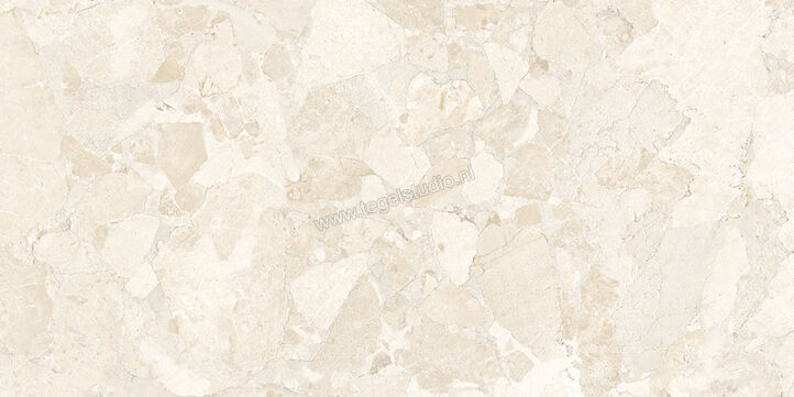  Ergon Ceramiche Matera Stone White 60x120 cm Vloertegel / Wandtegel Mat Gestructureerd Silktech plus EN5H | 457486