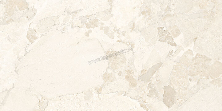 Ergon Ceramiche Matera Stone White 60x120 cm Vloertegel / Wandtegel Mat Gestructureerd Silktech plus EN5H | 457492