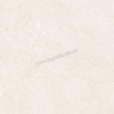  Ergon Ceramiche Matera Stone White 120x120 cm Vloertegel / Wandtegel Mat Gestructureerd Silktech EN6C | 457531