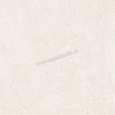  Ergon Ceramiche Matera Stone White 120x120 cm Vloertegel / Wandtegel Mat Gestructureerd Silktech EN6C | 457534