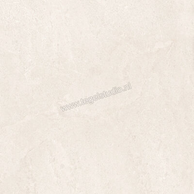  Ergon Ceramiche Matera Stone White 120x120 cm Vloertegel / Wandtegel Mat Gestructureerd Silktech EN6C | 457537