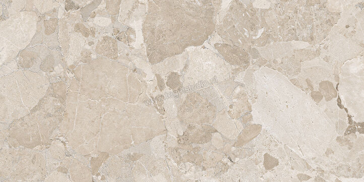  Ergon Ceramiche Matera Stone Greige 30x60 cm Vloertegel / Wandtegel Mat Gestructureerd Silktech EN6H | 457591