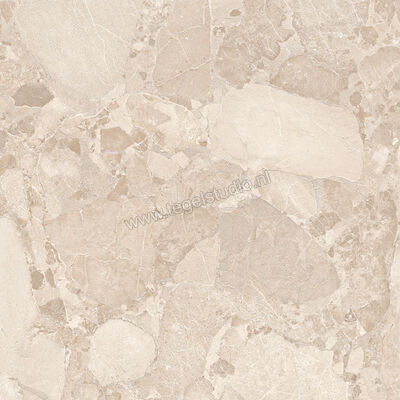  Ergon Ceramiche Matera Stone Beige 100x100 cm Vloertegel / Wandtegel Mat Gestructureerd Silktech EN8K | 457711