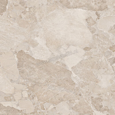  Ergon Ceramiche Matera Stone Greige 100x100 cm Vloertegel / Wandtegel Mat Gestructureerd Silktech EN8L | 457723