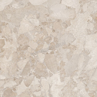  Ergon Ceramiche Matera Stone Greige 100x100 cm Vloertegel / Wandtegel Mat Gestructureerd Silktech EN8L | 457726
