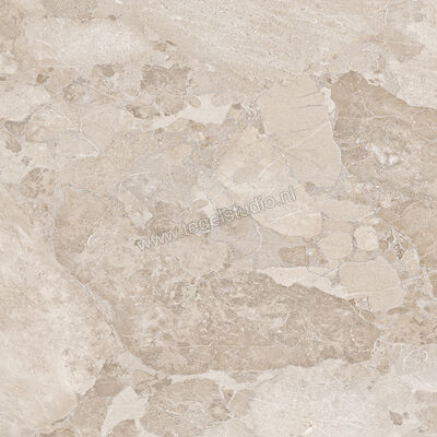 Ergon Ceramiche Matera Stone Greige 100x100 cm Vloertegel / Wandtegel Mat Gestructureerd Silktech EN8L | 457732