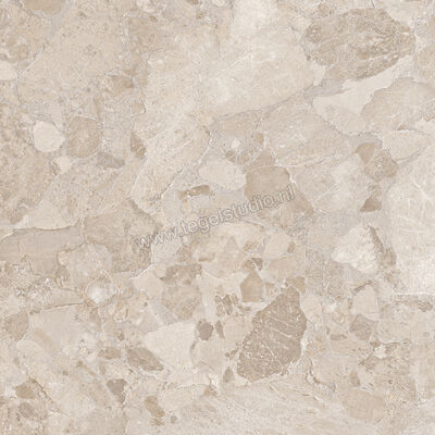  Ergon Ceramiche Matera Stone Greige 60x60 cm Vloertegel / Wandtegel Mat Gestructureerd Silktech EN55 | 457849