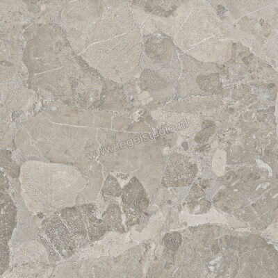  Ergon Ceramiche Matera Stone Dark Grey 60x60 cm Vloertegel / Wandtegel Mat Gestructureerd Silktech EN58 | 457879