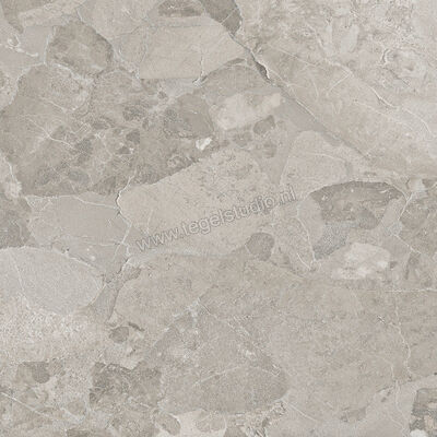  Ergon Ceramiche Matera Stone Dark Grey 60x60 cm Vloertegel / Wandtegel Mat Gestructureerd Silktech EN58 | 457882