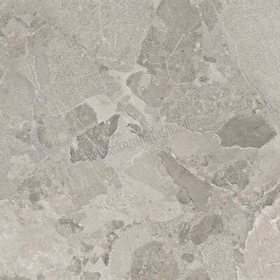  Ergon Ceramiche Matera Stone Dark Grey 60x60 cm Vloertegel / Wandtegel Mat Gestructureerd Silktech EN58 | 457888