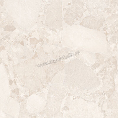  Ergon Ceramiche Matera Stone White 120x120 cm Vloertegel / Wandtegel Mat Gestructureerd Silktech EN66 | 457903