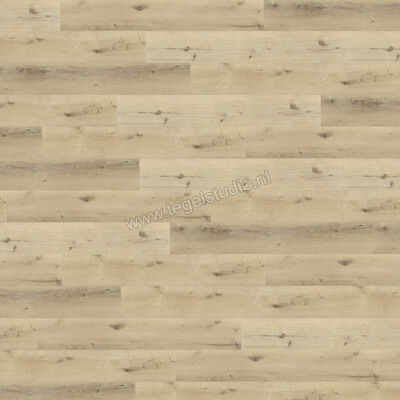  Belakos Palazzo PVC Register embossing mat Dryback Plank 152x23.6cm 215615036251 | 459706