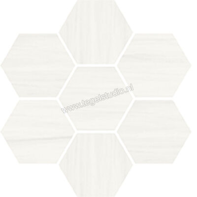  Vallelunga Dolomiti Dolomiti 30x28 cm Decor Hexagon Mat Gestructureerd Satin CV6000989S | 462409