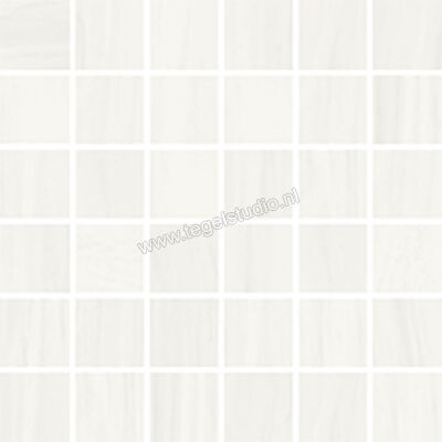  Vallelunga Dolomiti Dolomiti 30x30 cm Mozaiek 5x5 Mat Gestructureerd Satin CV6000990S | 462412