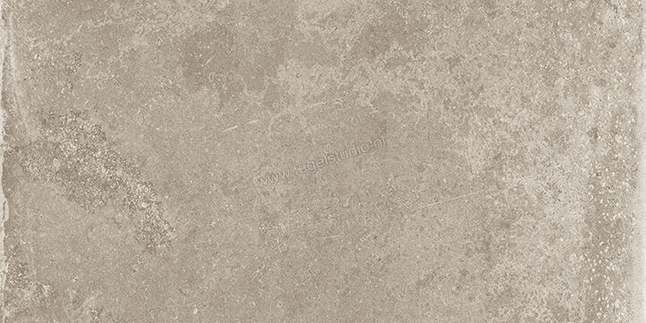  Vallelunga Lit Grigio 30x60 cm Vloertegel / Wandtegel Mat Gestructureerd Naturale 02LIT00340RS | 462517