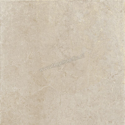  Vallelunga Lit Greige 120x120 cm Vloertegel / Wandtegel Mat Gestructureerd Satin 02LIT12042SR | 462559