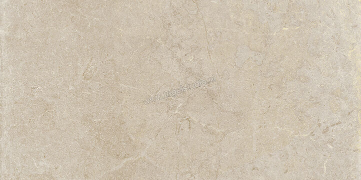  Vallelunga Lit Greige 60x120 cm Vloertegel / Wandtegel Mat Gestructureerd Satin 02LIT12642SRS | 462571