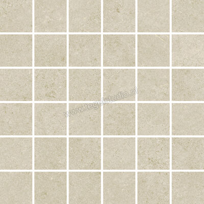  Vallelunga Lit Greige 30x30 cm Mozaiek Mat Gestructureerd Naturale 02LITM42SSS | 462607