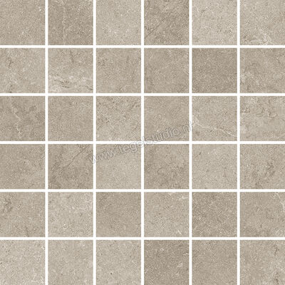  Vallelunga Lit Grigio 30x30 cm Mozaiek Mat Gestructureerd Naturale CV6000961S | 462613