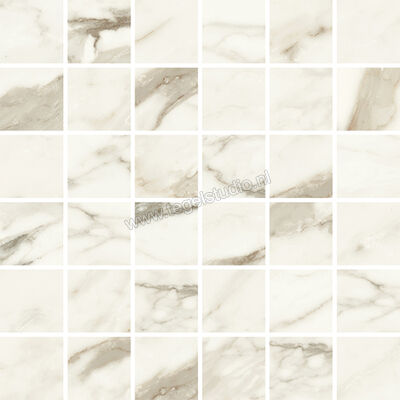  Vallelunga Luce Grey 30x30 cm Mozaiek Glanzend Gestructureerd Lusso CV6001275S | 462712