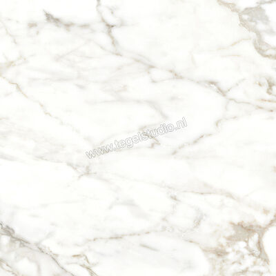  Vallelunga Luce Grey 60x60 cm Vloertegel / Wandtegel Mat Gestructureerd Satin 02CV61257RS | 462769