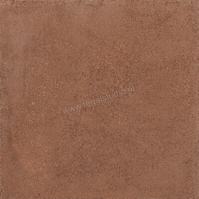  Vallelunga Terrae Cotto 60x60 cm Vloertegel / Wandtegel Mat Gestructureerd Naturale 02VTE660RS | 463042