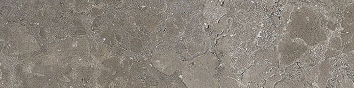  Coem Ceramiche Lagos Concrete 20x120 cm Vloertegel / Wandtegel Mat Gestructureerd Naturale OS210R | 465550