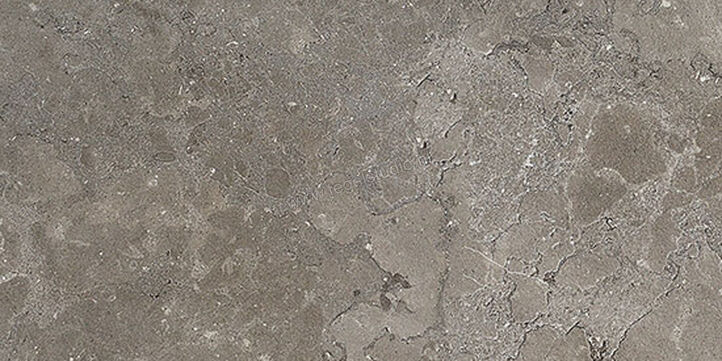 Coem Ceramiche Lagos Concrete 60x120 cm Vloertegel / Wandtegel Mat Gestructureerd Esterno OS620ER | 465559