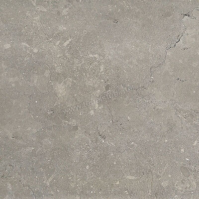  Coem Ceramiche Lagos Light Grey 120x120 cm Vloertegel / Wandtegel Mat Gestructureerd Naturale OS1239R | 465619