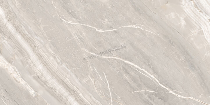  Ascot Ceramiche Galaxy Silver 30x60 cm Vloertegel / Wandtegel Glanzend Gestructureerd 3D Honed A2GAL00340TS | 467239