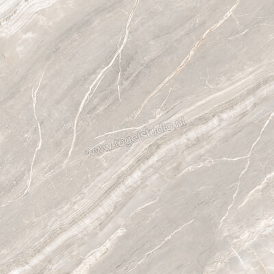  Ascot Ceramiche Galaxy Silver 60x60 cm Vloertegel / Wandtegel Glanzend Gestructureerd 3D Honed A2GAL00640TS | 467260