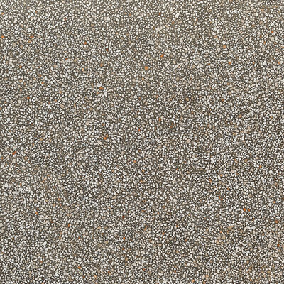  Coem Ceramiche Terrazzo Mini Beton 60x60 cm Vloertegel / Wandtegel Glanzend Vlak Lucidato TZ600LR | 467515