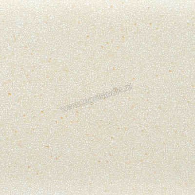  Coem Ceramiche Terrazzo Mini Caolino 60x60 cm Vloertegel / Wandtegel Glanzend Vlak Lucidato TZ601LR | 467521