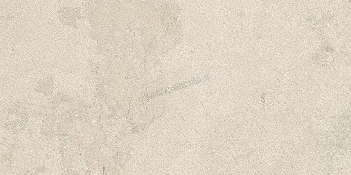  Coem Ceramiche Versatile Stone Bianco 30.2x60.4 cm Vloertegel / Wandtegel Glanzend Vlak Lucidato VS361LR | 467731