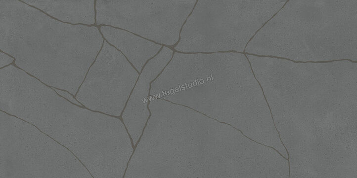  Fioranese Kintsugi Darkness 60.4x120.8 cm Vloertegel / Wandtegel Hibi Mat Vlak Naturale KTH620R | 468085