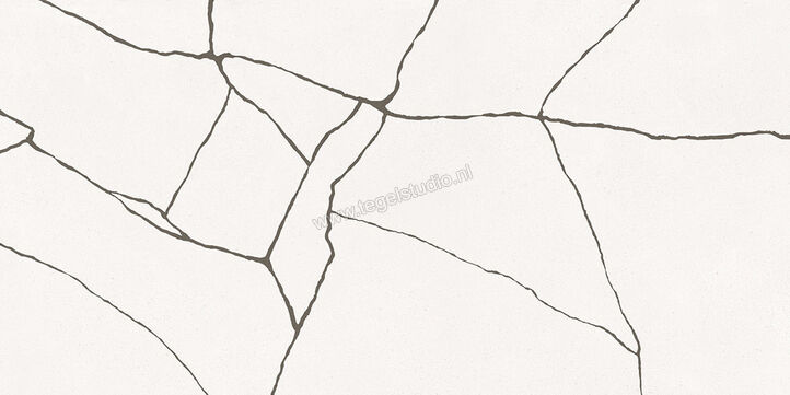  Fioranese Kintsugi Moonlight 60.4x120.8 cm Vloertegel / Wandtegel Hibi Mat Vlak Naturale KTH621R | 468088