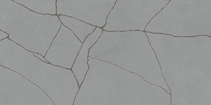  Fioranese Kintsugi Storm 60.4x120.8 cm Vloertegel / Wandtegel Hibi Mat Vlak Naturale KTH627R | 468097